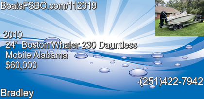 Boston Whaler 230 Dauntless
