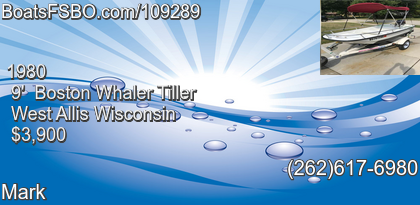 Boston Whaler Tiller