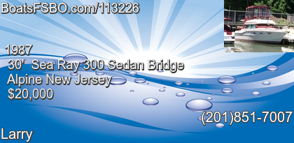 Sea Ray 300 Sedan Bridge