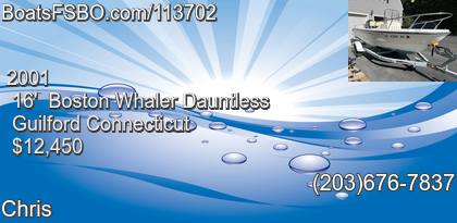 Boston Whaler Dauntless