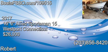 Allied Sportsman 15