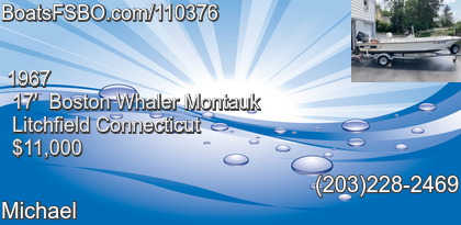 Boston Whaler Montauk