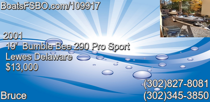 Bumble Bee 290 Pro Sport