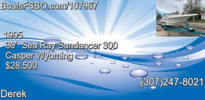 Sea Ray Sundancer 300