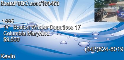 Boston Whaler Dauntless 17