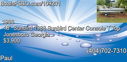 Sunbird 1988 Sunbird Center Console T Top