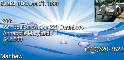Boston Whaler 220 Dauntless