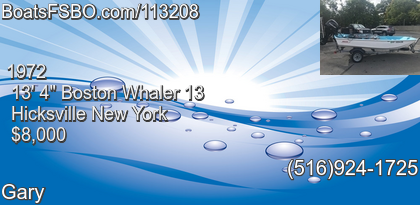 Boston Whaler 13