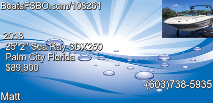 Sea Ray SDX250