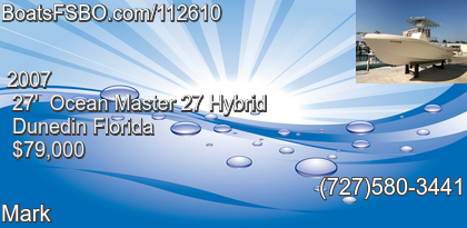 Ocean Master 27 Hybrid