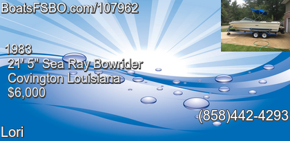 Sea Ray Bowrider