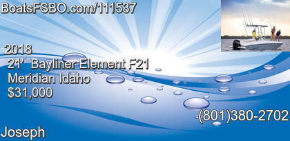 Bayliner Element F21