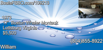 Boston Whaler Montauk