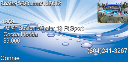 Boston Whaler 13 Ft Sport
