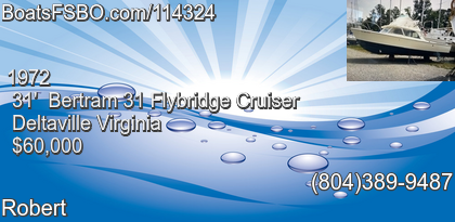 Bertram 31 Flybridge Cruiser