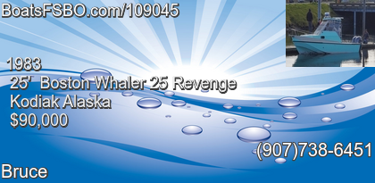 Boston Whaler 25 Revenge