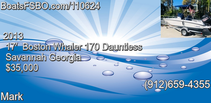 Boston Whaler 170 Dauntless