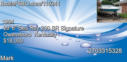 Sea Ray 200 BR Signature