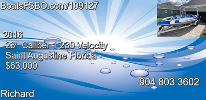 Caliber 1 230 Velocity